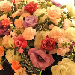 結婚相談所の対応エリアを確認する